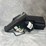 #4811-•-canik-to9sf-elite-9mm-luger-pistol,-sn:-25bh02834-image-1