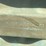 #504-•-1979-chevrolet-truck-(has-nm-title)-(located-in-elephant-butte)-image-66