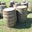 #29426-•-lot-of-(2)-whiskey-barrels-image-2