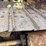 caterpillar-d4d-image-31