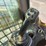 2014-caterpillar-289d-image-31