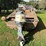 mirro-craft-boat,-motor-and-trailer,-65hp-evinrude-engine,-aluminum-boat,-has-been-stored-for-approx-image-6