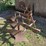3-bottom-ferguson-plow,-3pt-hookup-image-7