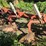 ih-720-–-5-bottom-20”-semi-mount-plow,-auto-reset,-all-wear-parts-are-good,-missing-one-coulter,-use-image-19