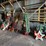 #2821-•-(15)-piece-christmas-decoration-set-image-2
