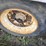 #1760-•-43’-dry-van-work-van-image-24