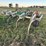 glencoe-soil-saver-image-9
