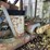 #1599-•-morbark-chip-pac-750-chipper-image-12