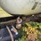 #2592-•-propane-truck-image-8