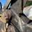 deere-225d-lc-image-14