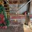 #2822-•-(12)-piece-christmas-decoration-set-image-5