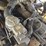 hyundai-25lc-7m-image-40