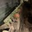 #1590-•-irvington-moore-trim-saw-w/-infeed-table-image-20