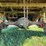 home-made-mazda-pickup-box-trailer,-no-title-image-8