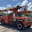 tree-service-liquidation-auction-image