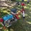 1981-honda-50cc-express-motor-bike-moped-for-restoration,-does-not-run,-mostly-complete-per-seller,-image-5