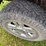 2006-ford-f150-xlt-image-20
