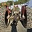 massey-ferguson-165-image-4