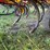 bourgault-8810-image-15