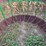 round-bale-feeder-with-hay-savor-and-skirt-on-bottom-image-4