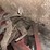 troy-bilt-horse-image-6