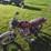 1980-suzuki-tscc-motorcycle,-shows-6,665-miles,-non-running,-history-is-unknown-*no-title-image-3