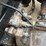 2020-kenworth-t680-image-41