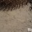56"-wheel-rake-wheels-image-9