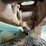 2006-powerscreen-warrior-1800-image-19