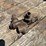 3/4"-penberthy-injector-image-2