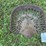 buckeye-seat-image-1