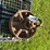 generic-14"-belt-pulley-image-2