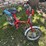 1981-honda-50cc-express-motor-bike-moped-for-restoration,-does-not-run,-mostly-complete-per-seller,-image-1