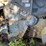 #1599-•-morbark-chip-pac-750-chipper-image-20