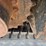 2014-caterpillar-303.5e-cr-image-18
