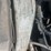 1999-ford-f450-image-27