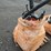 quantity-of-backpack-blowers-image-3