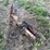 3pt-rock-nabor-image-2