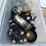camping-lights-and-christmas-tree-stand-image-1