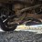 2010-ford-f150-image-26