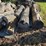 pile-of-wood,-mostly-ash,-has-been-down-approx-10-years,-ready-to-cut-and-burn-image-3