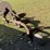 3-bottom-ferguson-plow,-3pt-hookup-image-4