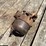 case-10-20-crossmotor-carburetor-image-2