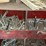 #120-•-coarse-thread-bolts-rack-and-contents-image-51
