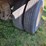 great-dane-28-image-2