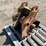 wr-hyd-tilting-swinger-coupler-image-2