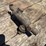 3/4"-penberthy-injector-image-3