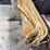 cloth-umbrellas-w/-stand-image-3