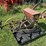 van-brunt-horse-drawn-grain-drill-image-1