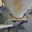 approx-24-ton-bulk-bin,-approx-27’-tall-and-11’-wide-with-bridge-rid-anti-bridge-system,-30’-of-flex-image-12
